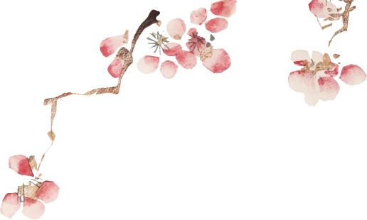 關於諭方老師《花朵》
